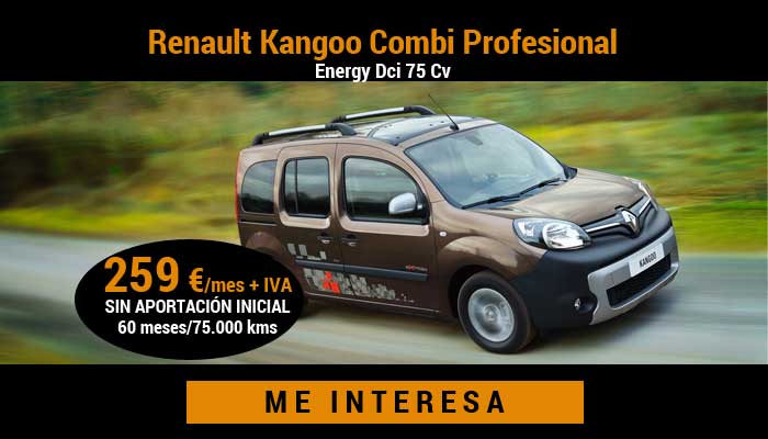 Renault Kangoo Combi Profesional Energy Dci 75 Cv