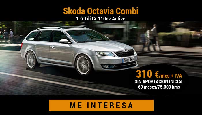 Skoda Octavia Combi 1.6 Tdi Cr 110cv Active